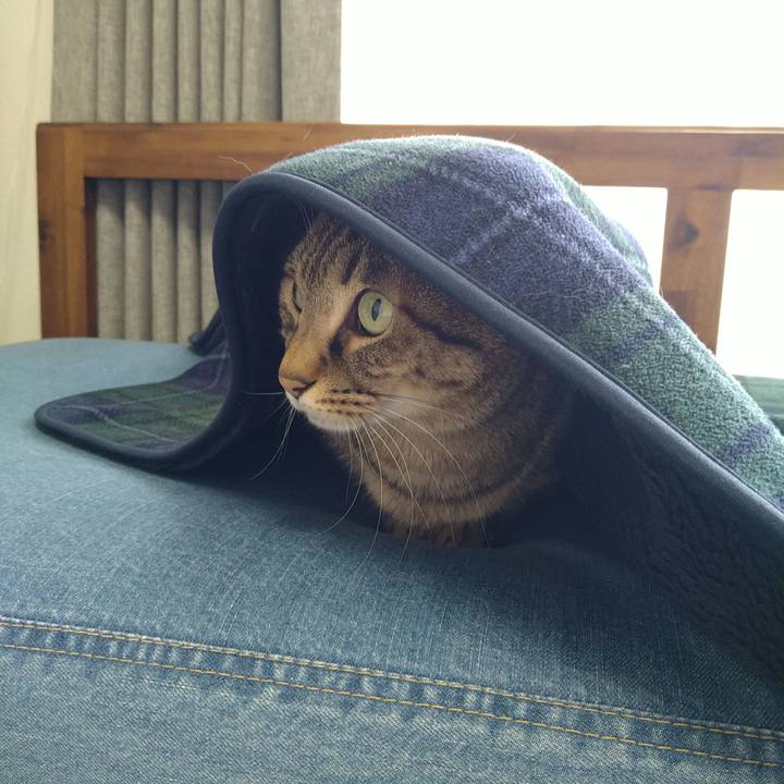 01e8f18a 2e9b 48ea b861 5d48eca133dc 1712369341127