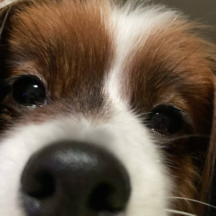 01e8f1aa 55fa 4462 90e7 1df595659039 1641560533119