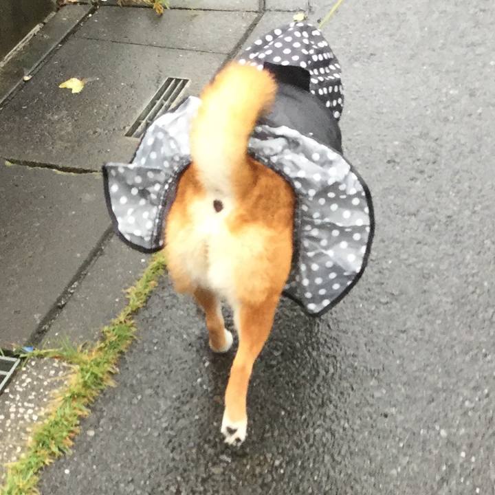 01e904e4 ed3e 4d69 8262 4d1199a91bdd 1567983398443