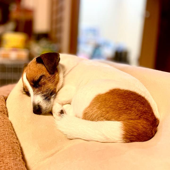 01e921e8 880f 4068 9e15 d8a0bfb4fb11 1747745696361