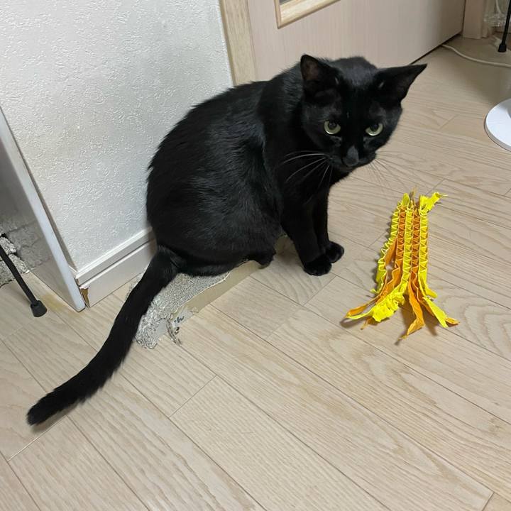 01e93b90 3c7e 4583 ad0e 4f1cc64948d8 1725447048306