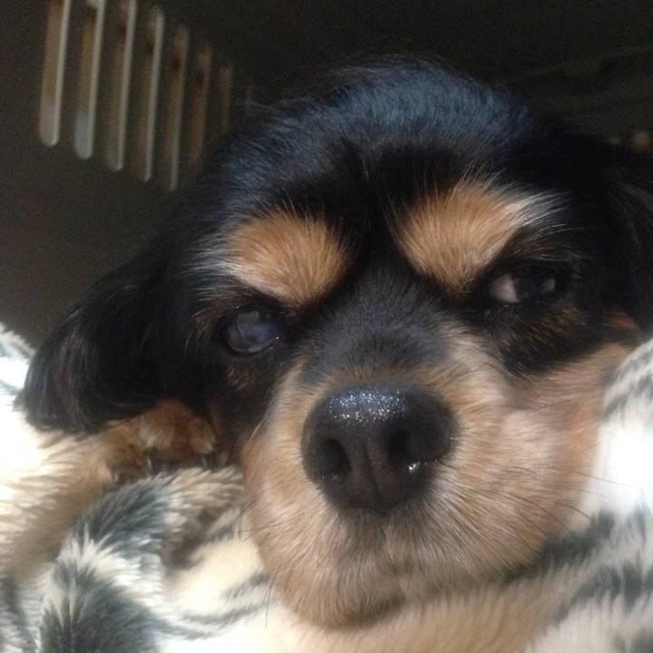 01e941df df9a 4776 8580 41357853cd2a 1634545927404