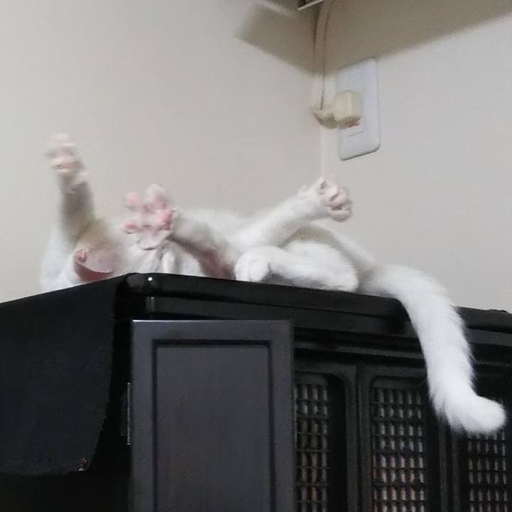 01e97983 23d0 4761 8c61 113f00fa2c2c 1641899401171