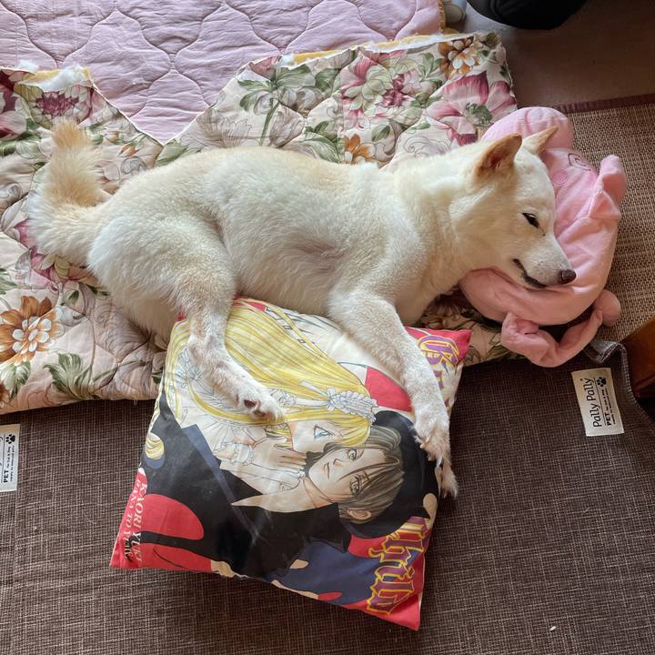 01e9a6fe 3248 4e5b a3b0 1ed586a45cea 1658822225713