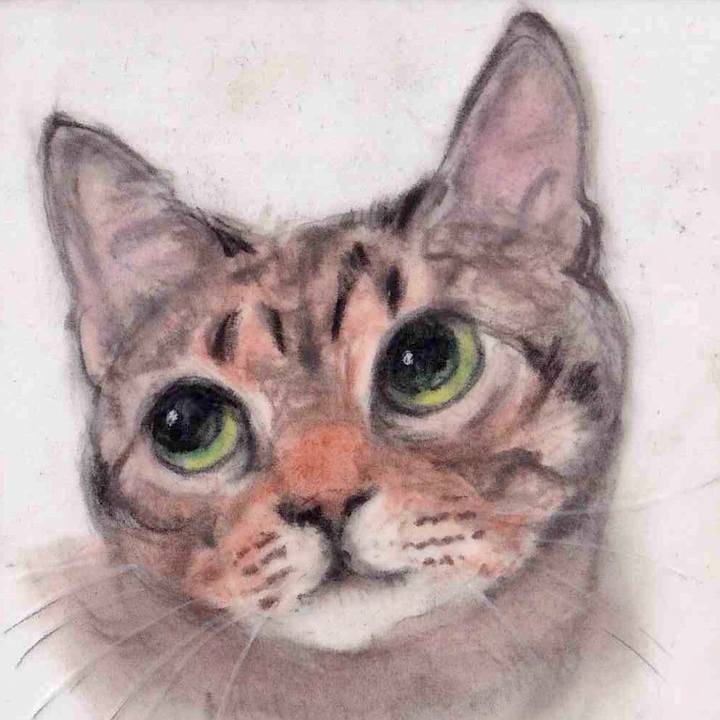 01e9b0fb 7cf3 40e4 9624 60bf82a969f4 1647353713005