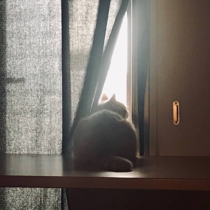 01e9c745 925c 4c01 9859 a50eb500efd1 1569330725583