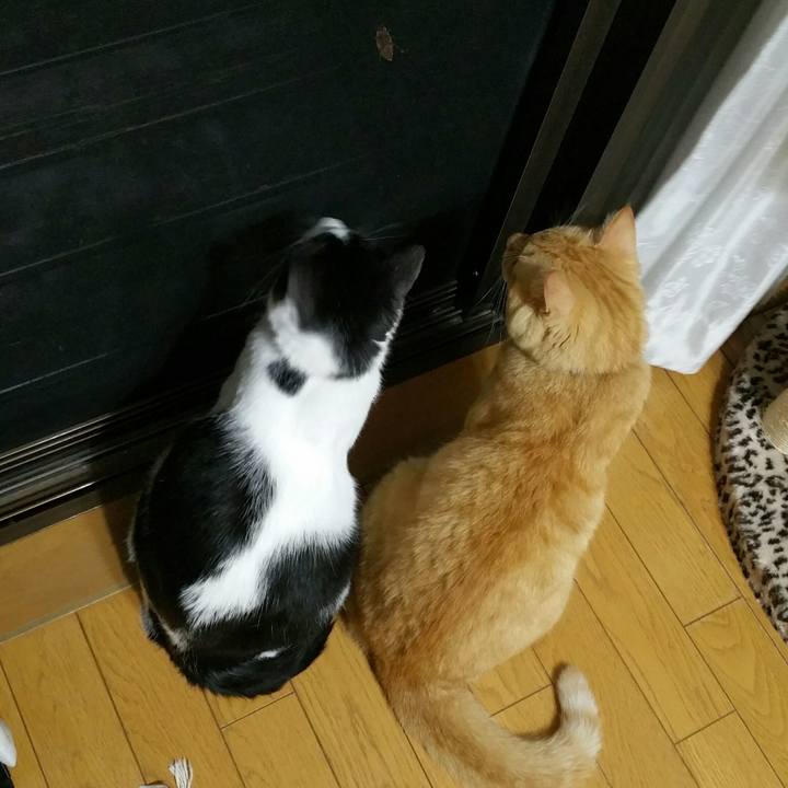 01ea2ebc edf4 4170 a82a a67052cdf327 1532386791843