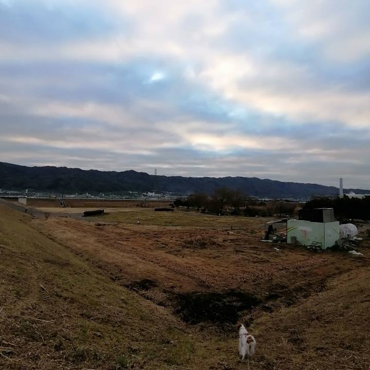 01ea36ce 3021 4f3a af5e 91b91e15963b 1611101639096