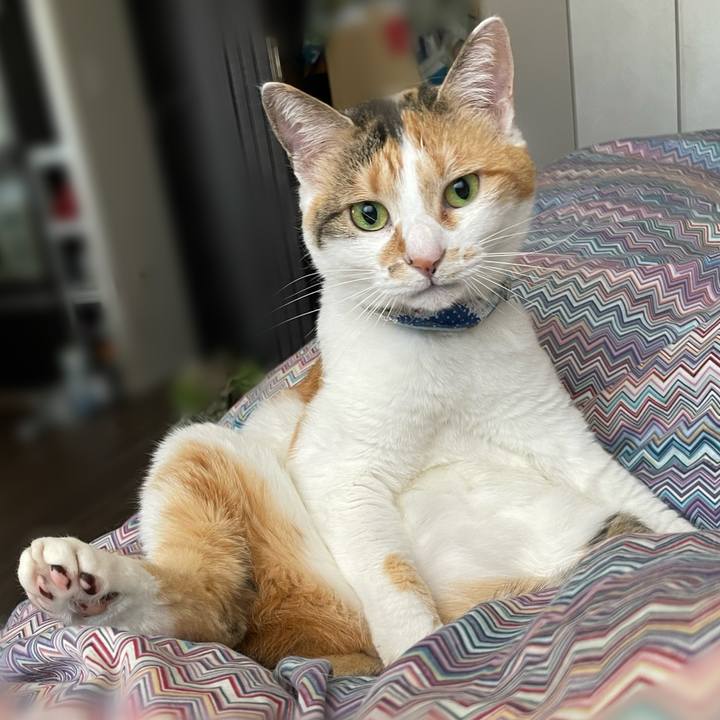 01ea372d 72ee 4dbf b91a 55fec46e143b 1715992475660