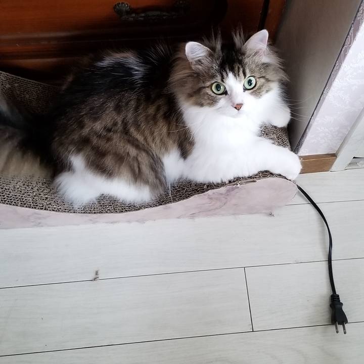 01ea40a3 553c 4fd7 a35d eb99cc3e1a76 1562198568982