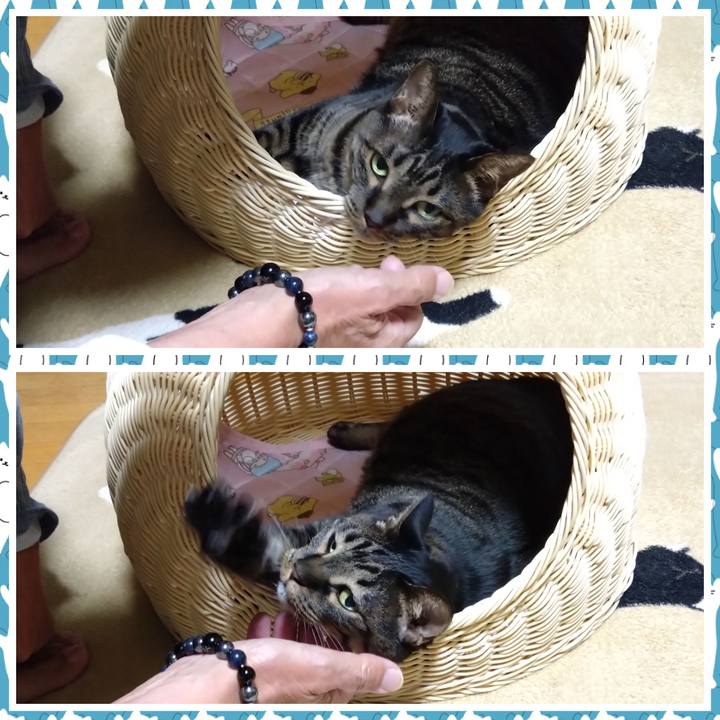 01ea907e da3a 4e47 a621 4a0ee607d145 1760015207074