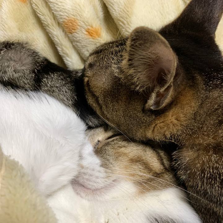 01ea9d47 035c 4fbd b637 af702bfd29e9 1584494212635