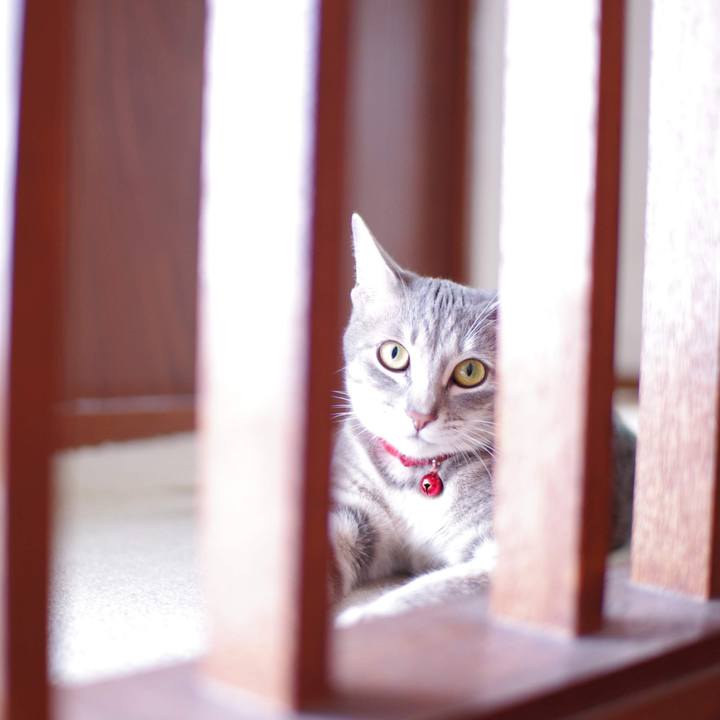 01eac31f 2da3 485d aeaa 3ac76bb06b3d 1537863866101