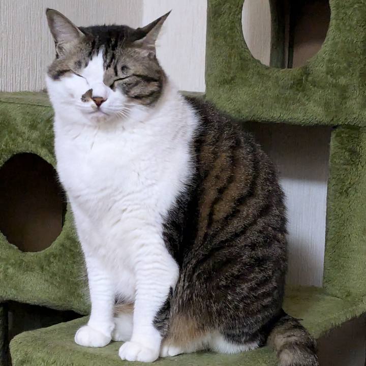 01eac71b a789 4d09 b57f daa4dd1f593c 1734640686254