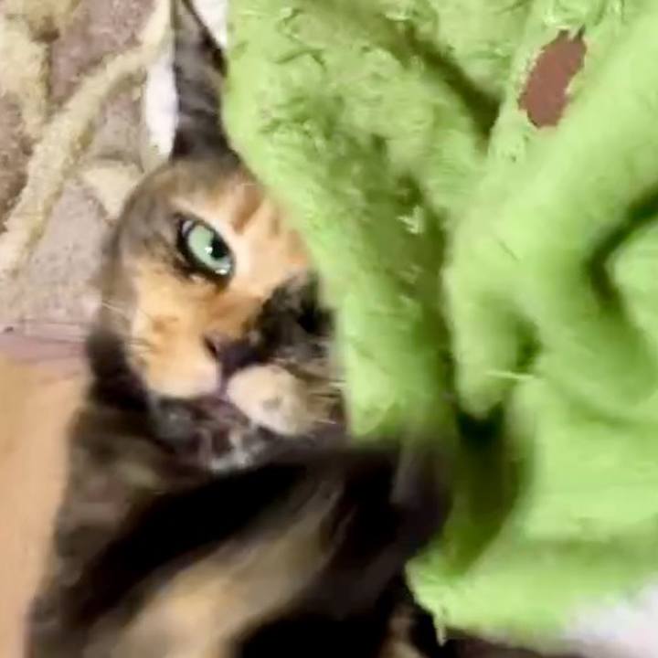 01eaca9b 1c23 4895 bea0 5c026c95dff5 1731837137649