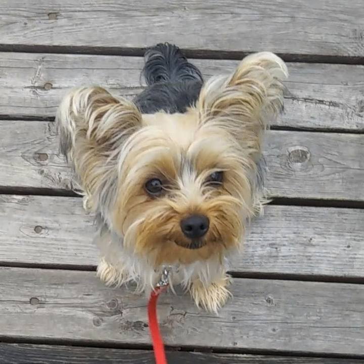 01eb1a90 4cf8 412a a491 2a5eb465b27a 1712817500330