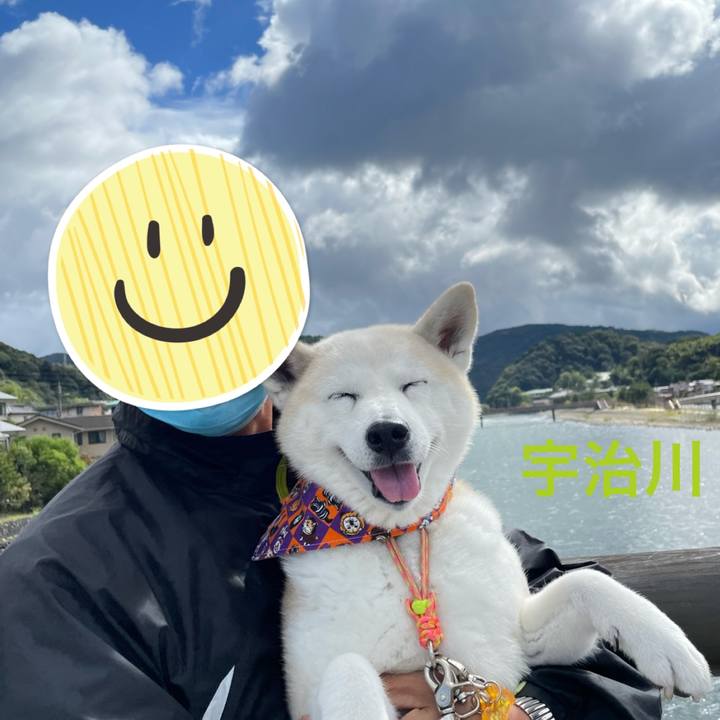 01eb3a69 d9ae 4043 bf07 f145a4c8c08d 1634598821388