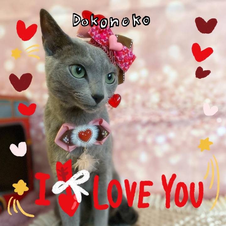 01eb4819 8e59 4814 a358 c83e97e11d3c 1706793540624