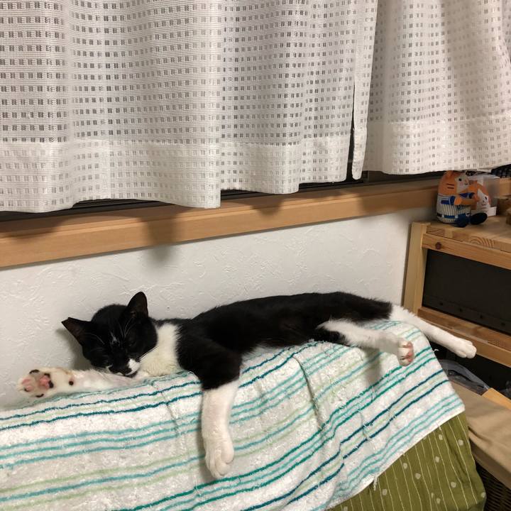 01eb51e0 e9af 42a0 8e3f 01f2ddb80a71 1531133101805