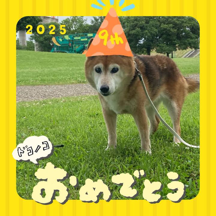 01eb58c4 788b 4e5b a309 47634b6404a2 1749171847370