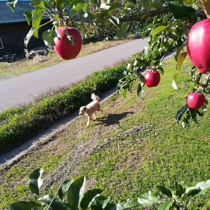 01eb67ac edf5 41a6 be77 071fe7bc2dce 1570339233724