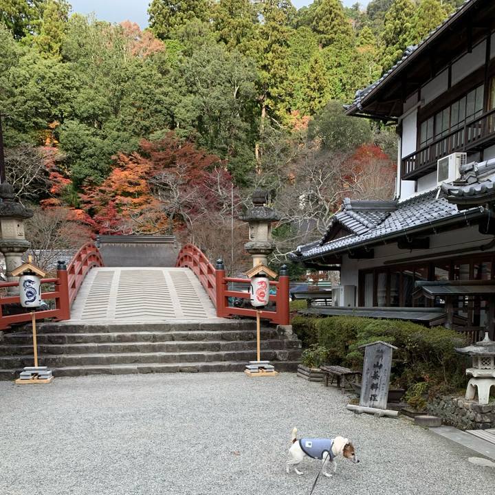 01eb722f d95d 401d 8a48 c8d0229a47a7 1575107781639