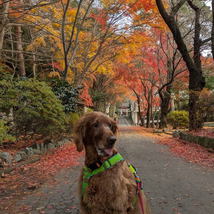 01ebd922 0a88 429b b83d 3c319e05da27 1764281268932