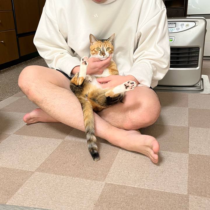 01ebe3b8 f836 4a5c 91b0 5956500c982c 1742941468765