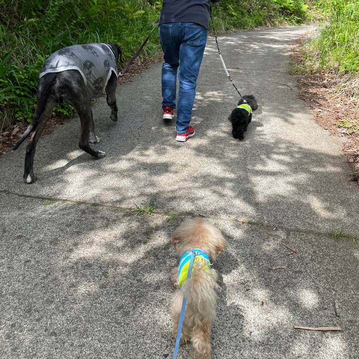 01ec236e 0c0d 4606 97aa 5305ab451fe4 1620093881899