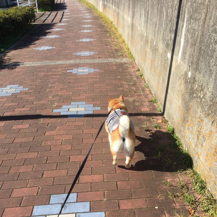 01ec2fc2 db97 4b59 aafb 2c46287da11d 1543546761937