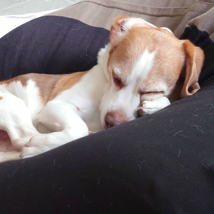 01ec5326 7c0d 4e40 a35a 8017d40370eb 1746758487783