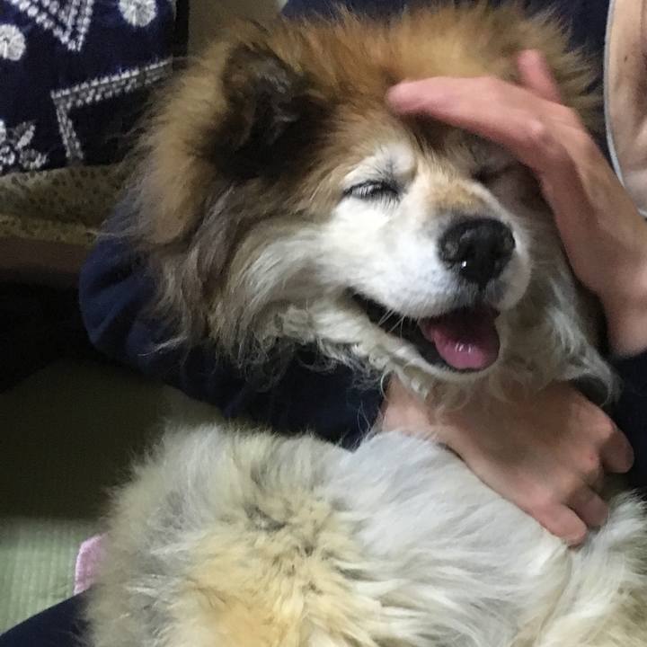 01ec64bd 3261 4163 8314 ff240fed931a 1601530098424