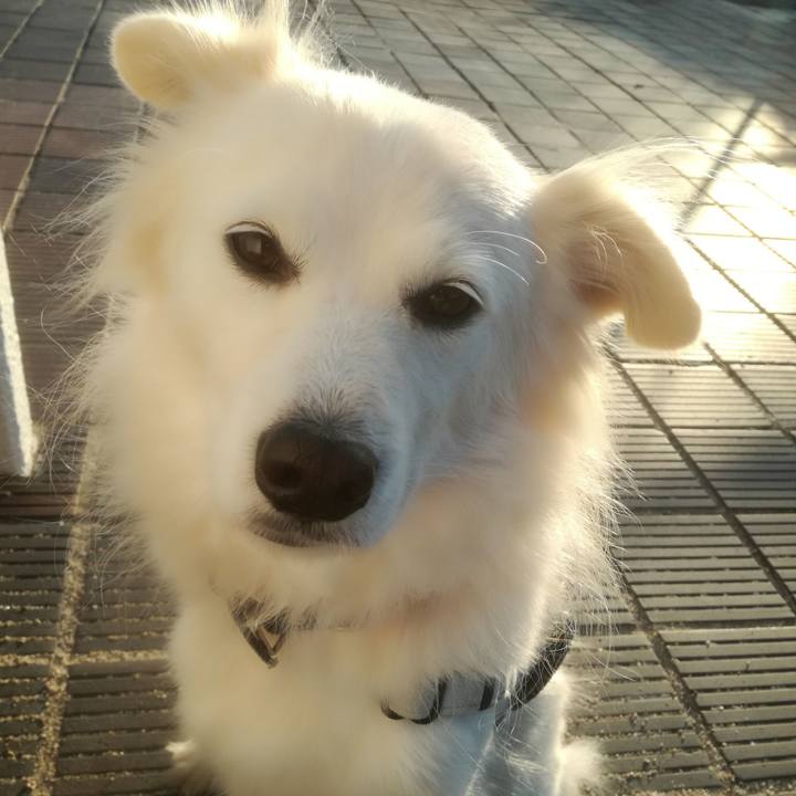 01ec659c 5f16 49af be6e 8e9754eeaf3d 1513129102655