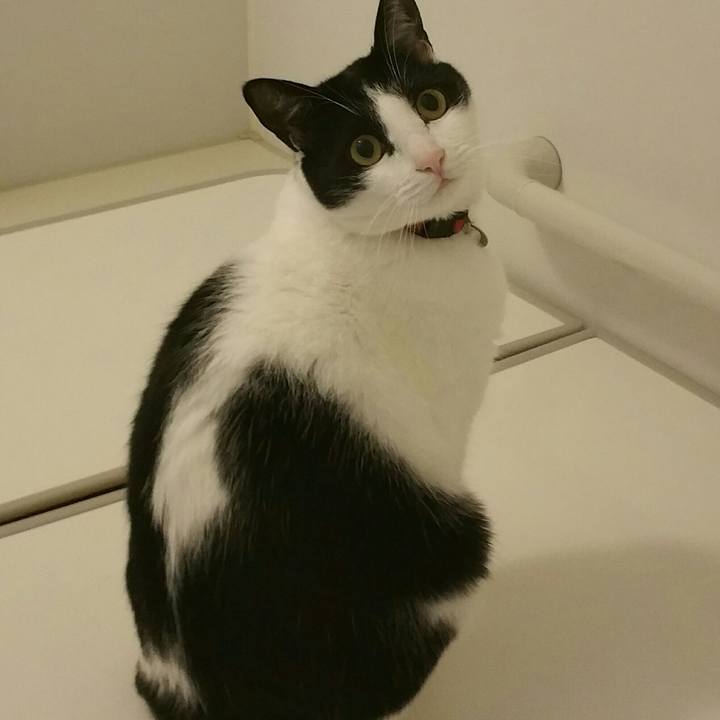 01ecbf88 4c35 4319 ac3b a71b68f4a76a 1514336680065