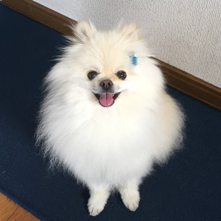 01ecd671 32e3 42b8 b331 0c7166fdc373 1591833428557