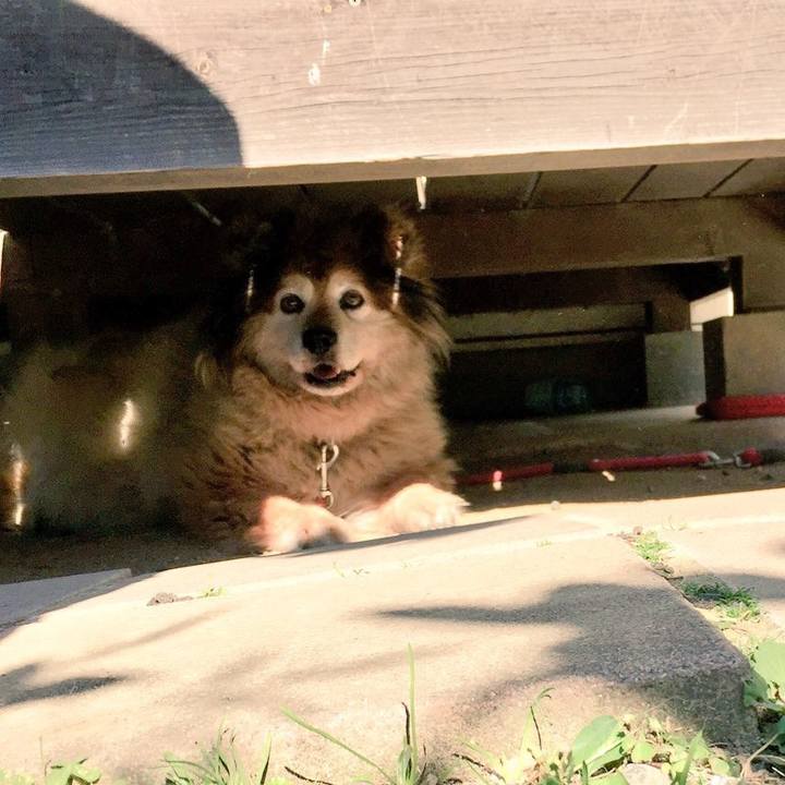 01ecd80f 2e0e 4e00 881b 0f7ba7f9deee 1564301508225