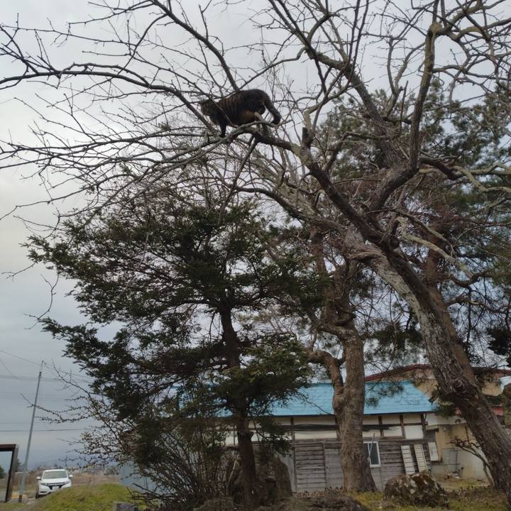 01ecf89d 9df2 471e 92d9 fef84a8c7c56 1712220105899