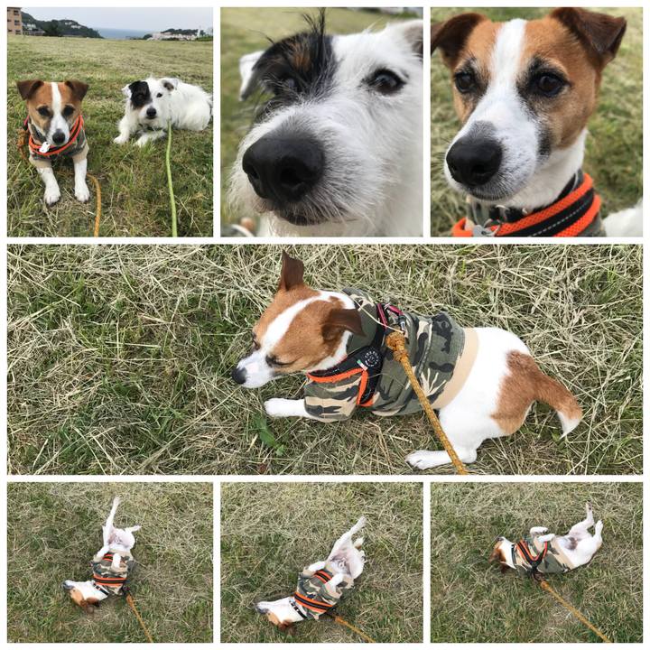 01ed109b 7b3f 44dd 804d 592049a38323 1526516370614