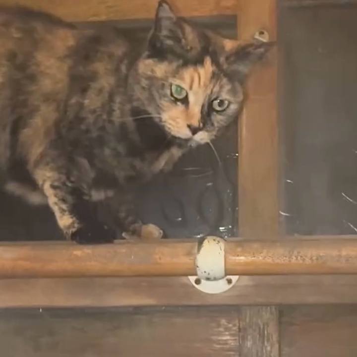 01ed216c d1cf 44f2 a1b3 c68520e3f9b8 1765311895744