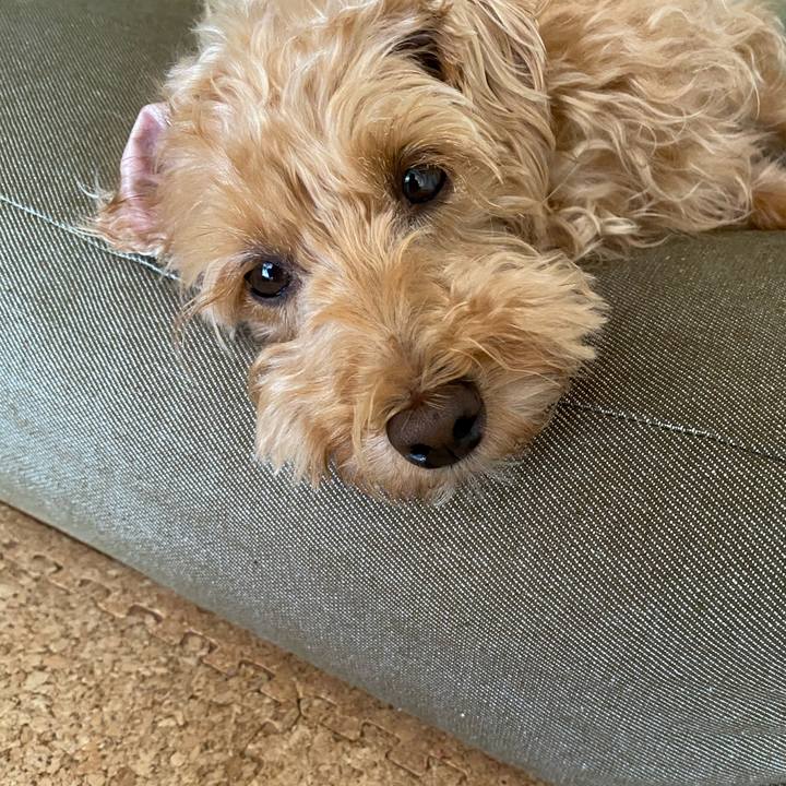 01ed4c92 60c8 442a b55b 6bbb9b981aed 1663216207478