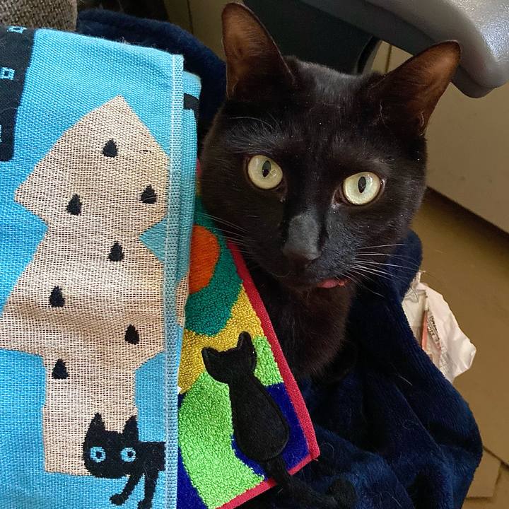 01ed535d 4ddd 4500 afff b0f7dba95c5e 1712987342125