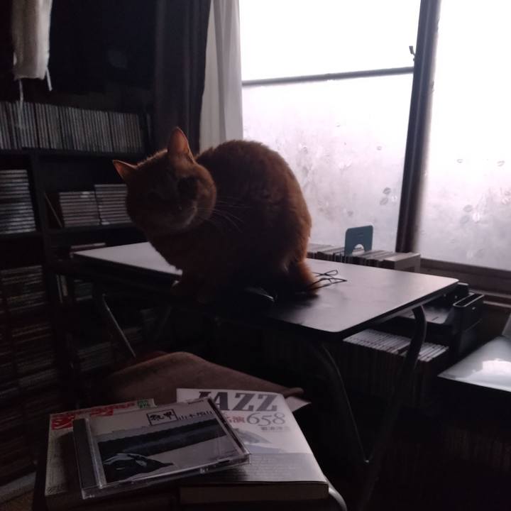 01ed6d3f 6b2b 486a 9817 de77edf60857 1678573248810