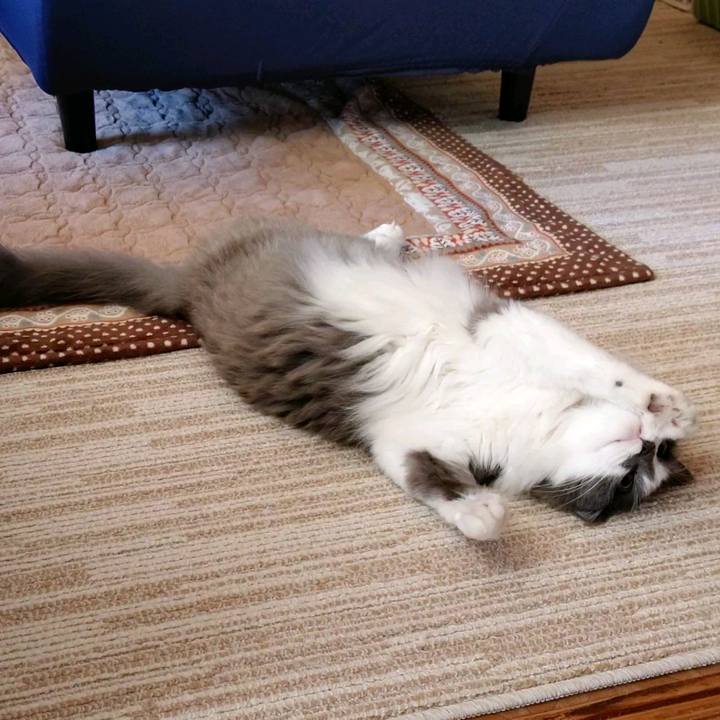 01ed9204 4fa4 4edc a62d fd9b85ce5e73 1612081982401