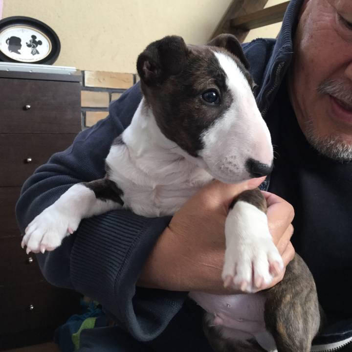 01ed9823 4842 4969 94ec c4aeea92aba9 1546342692334