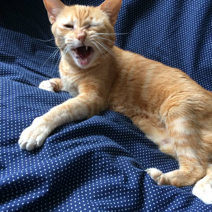 01edbecf bc2e 4b82 a208 1b2b98db25a6 1514847577915