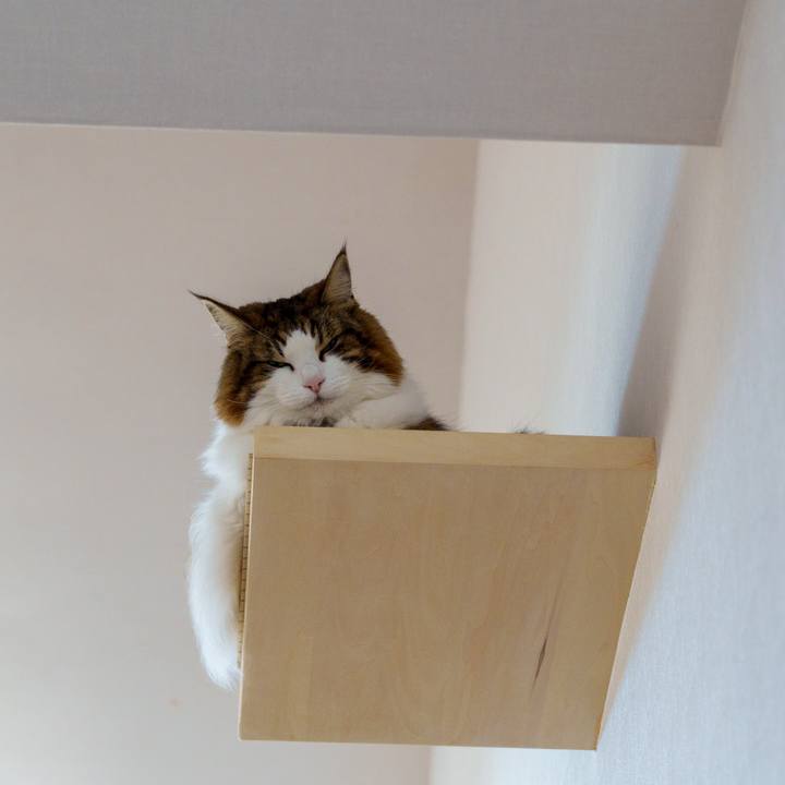 01edee9d 51ef 40ed 83b0 9d4f39e98bac 1733390557494