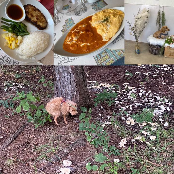 01ee1d57 b2c3 4ff5 a298 b3db71f51a04 1696246301665