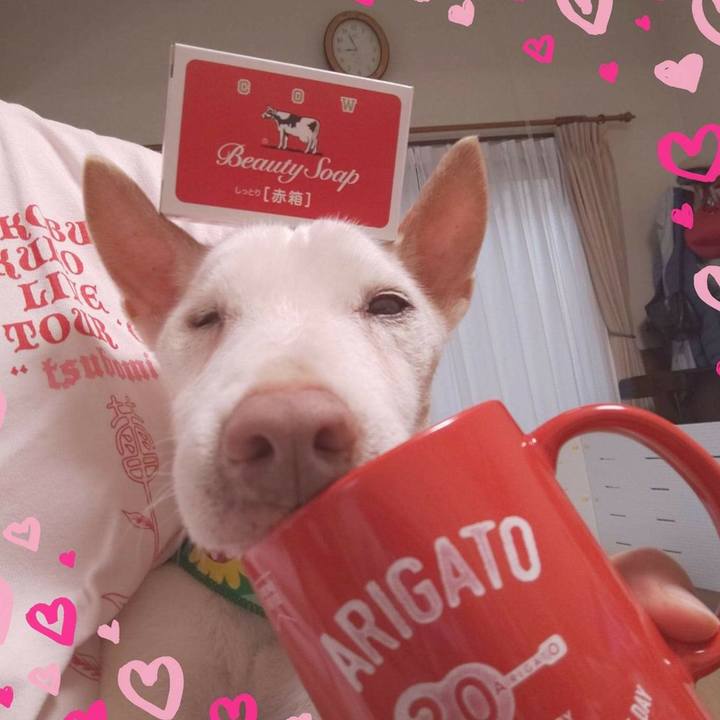 01ee2bd5 af5c 489a 98b4 88018d3be493 1629157636589