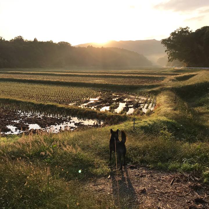 01ee364b 9229 46b4 9693 190c7dfbd000 1508798948159