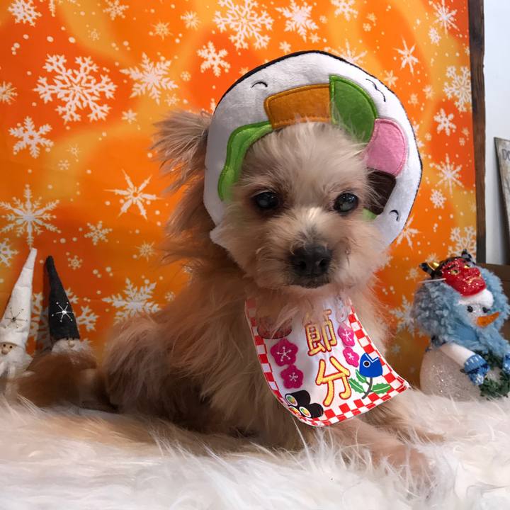 01ee3da6 4e27 44b4 9d7d 40c358f96e71 1549072816341